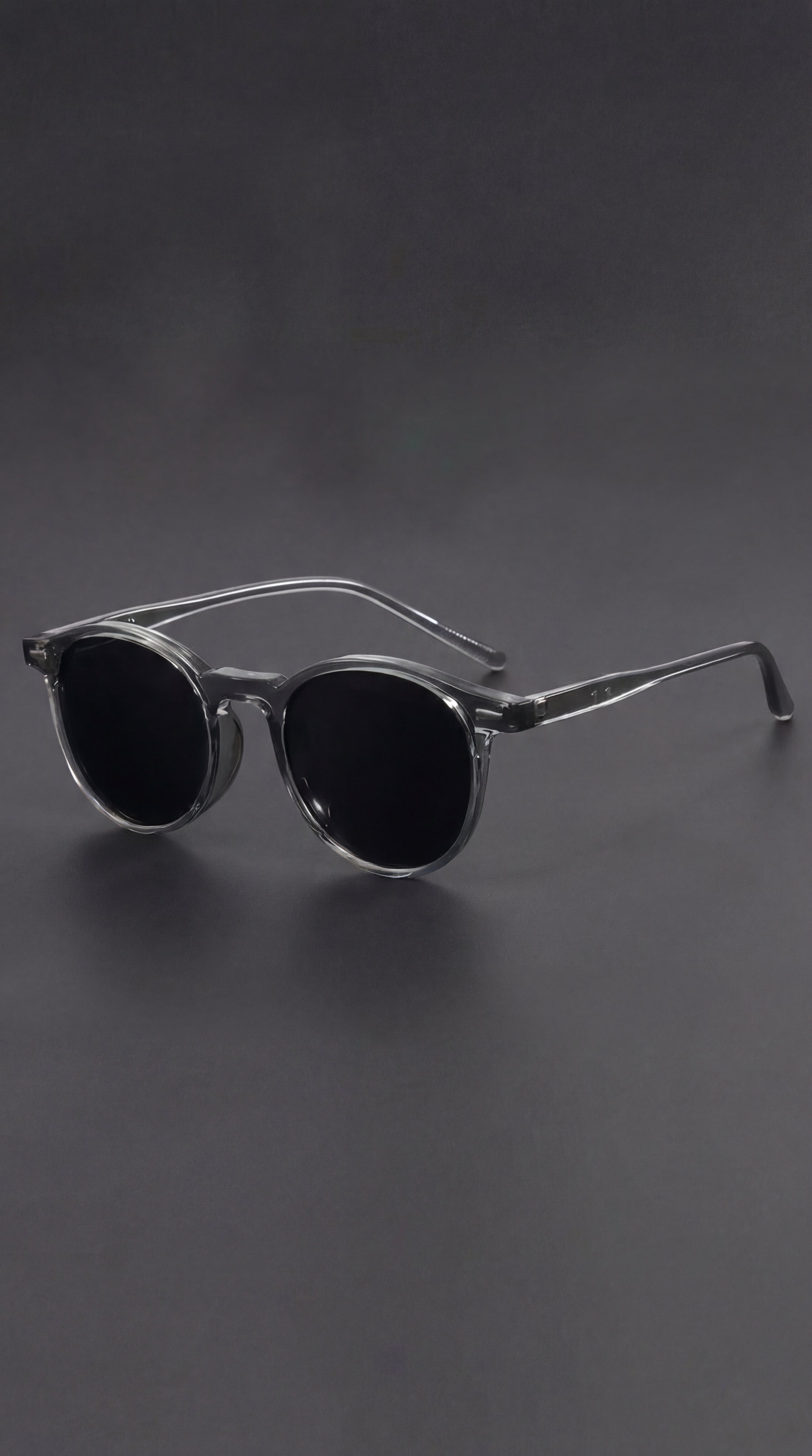 Round Frame Tortoiseshell Temple Sunglasses