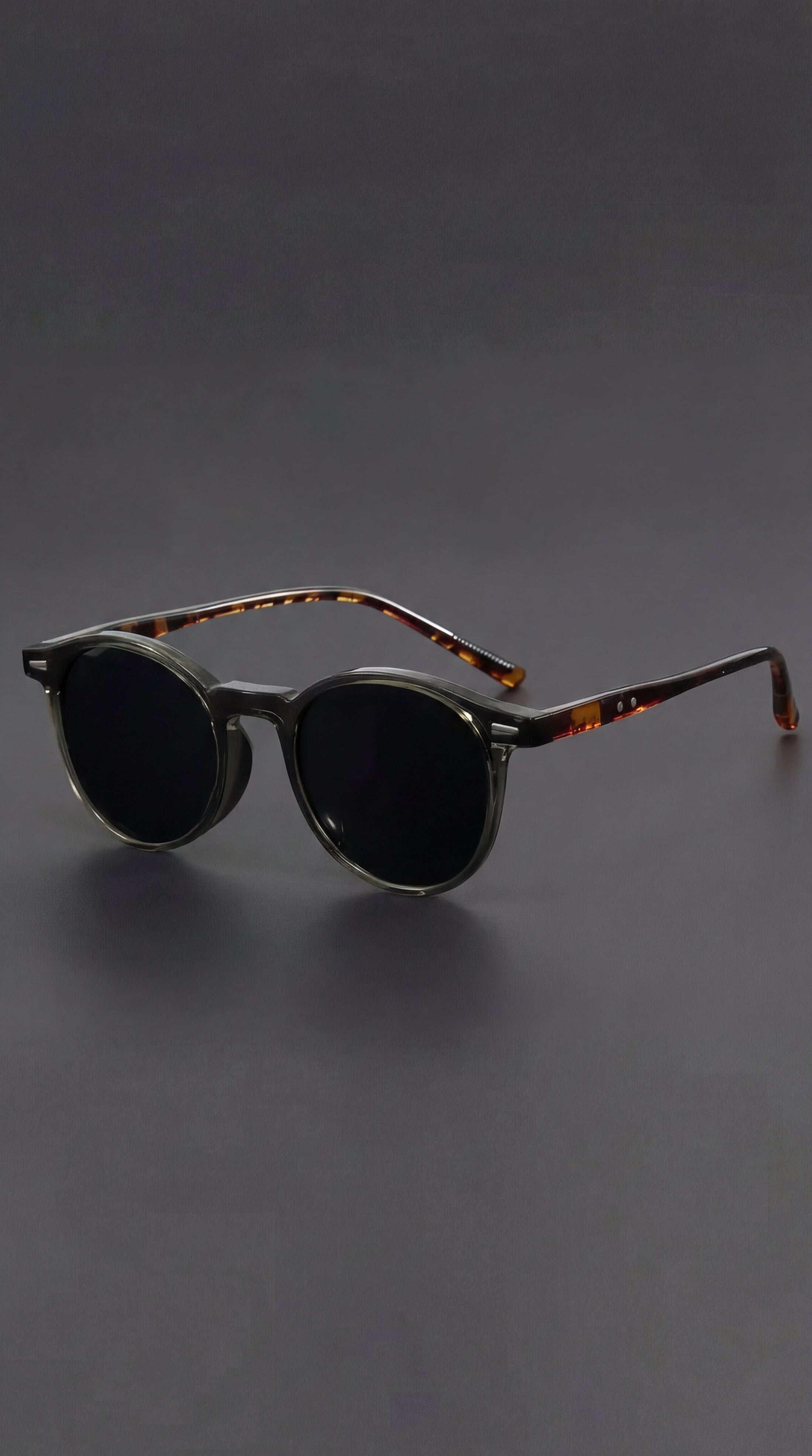 Round Frame Tortoiseshell Temple Sunglasses